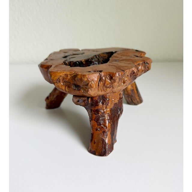 Vintage Olive Root Pedestal Riser For Sale - Image 11 of 11