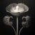 Cotula Turbinata Flower No. 1 — Vintage Botanical Photography Print For Sale