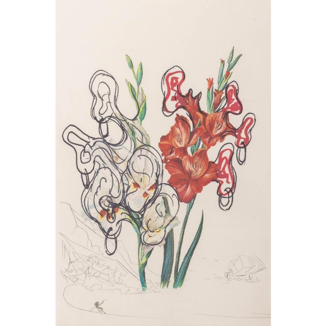 Salvador Dali (Spanish, 1904-1989), "Gladiolus Cun Aurium Corymbo Expectantium" [Gladiolus with Golden Clusters Expected],...