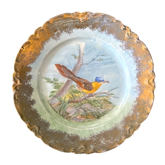 Late 19th Century Austrian Porcelain Gold Gilded Plates Featuring Exotic Birds, Parrots, Toucans by M. Z. Austria Hapsburg - Set of Three For Sale In Jacksonville, FL - Image 6 of 10