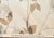 Stan Cathell for Magnolia Home Botanic Dandelion Cotton Fabric- 5 Yards For Sale In Los Angeles - Image 6 of 8
