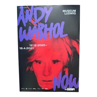 Andy Warhol (1928–1987), Self Portrait (Detail), 1986, Museum Ludwig Cologne 2020, Exhibition Poster, Printed in Germany For Sale