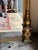 Gold Exceptional Monumental Victorian Renaissance Revival Pier Mirror, Circa 1870–1885 For Sale - Image 8 of 14