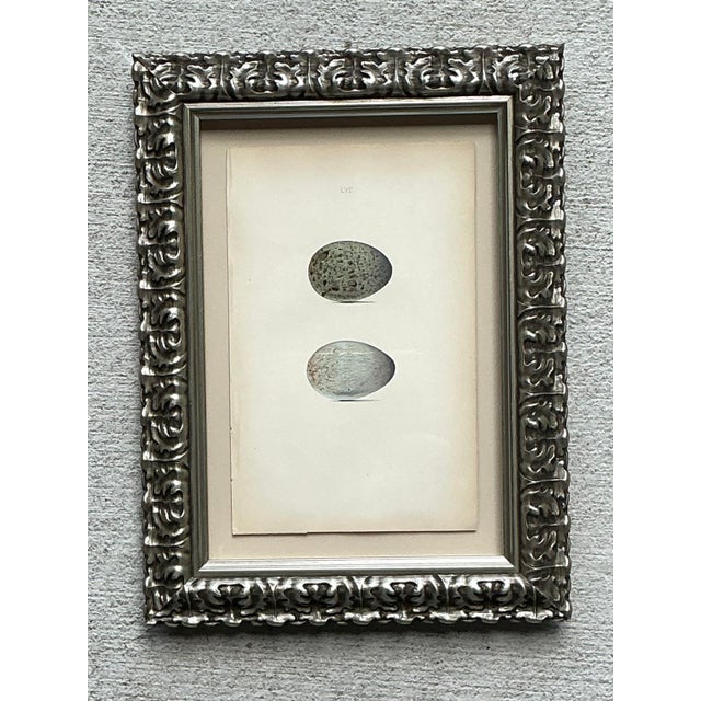 Vintage Original Book Plate of an Egg For Sale - Image 4 of 12