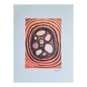 After Yayoi Kusama, Untitled, Lithograph, 1990s