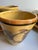 Mustard Hand Painted Five(5) Pieces Dinnerware Set for Two(2) "Pomegranate" by Arte Italica Made in Italy(10 Pc Set) For Sale - Image 8 of 18