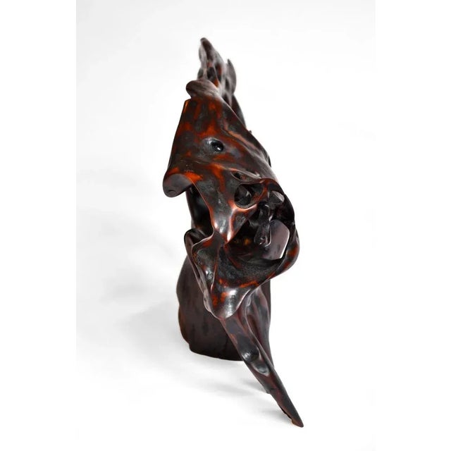 Not Yet Made - Made To Order Tropical Driftwood Sculpture by Jörg Pietschmann For Sale - Image 5 of 9