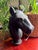 Heavy Southwestern cast iron hitching post horse head with ring. Weathering and use has left this with warm aged patina....