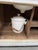 Early 20th Century Washbasin Unit For Sale - Image 14 of 18