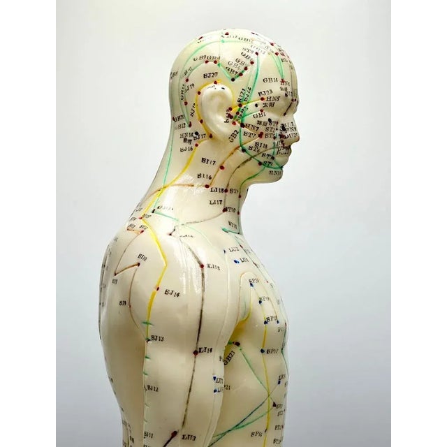 Vintage Vinyl Meridian Model from Newgen Medicals, 1970, in Flawless conditions. Designed 1890 to 1919 This piece has an...