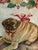 Hand Made Needlepoint Pug Dog Pillow Cover #1 With Velvet Back, Tassel Trim & Zip Closure – See Photos! Cottage Core - Match May Still Be Available. For Sale In New Orleans - Image 6 of 9