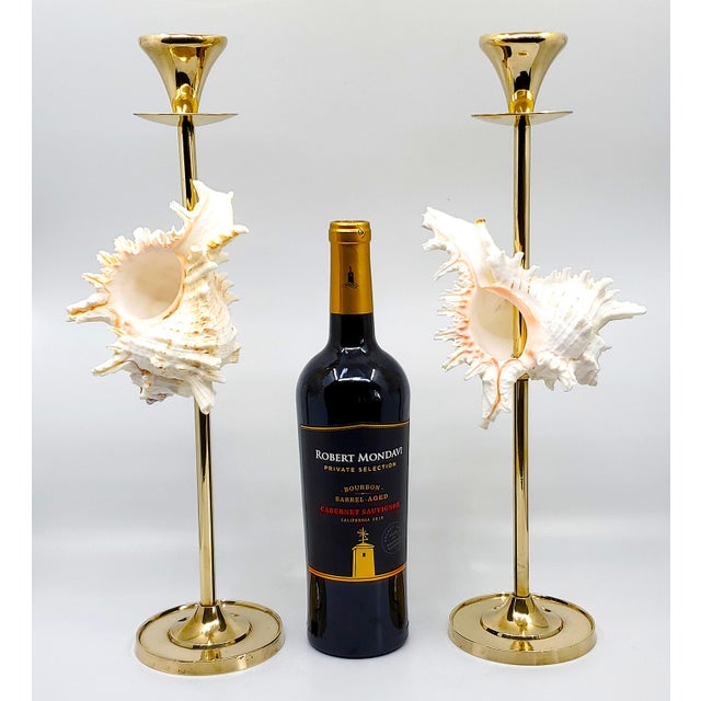 Contemporary Brass Candlesticks Shells Seashells Pair For Sale - Image 3 of 15