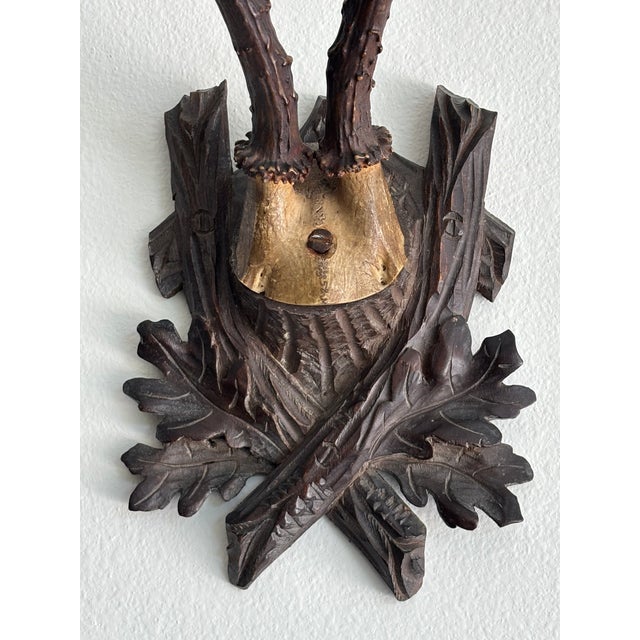 Collection of Antique Black Forest Roe Deer Trophy Antler Mounts - Set of 3 For Sale - Image 12 of 17