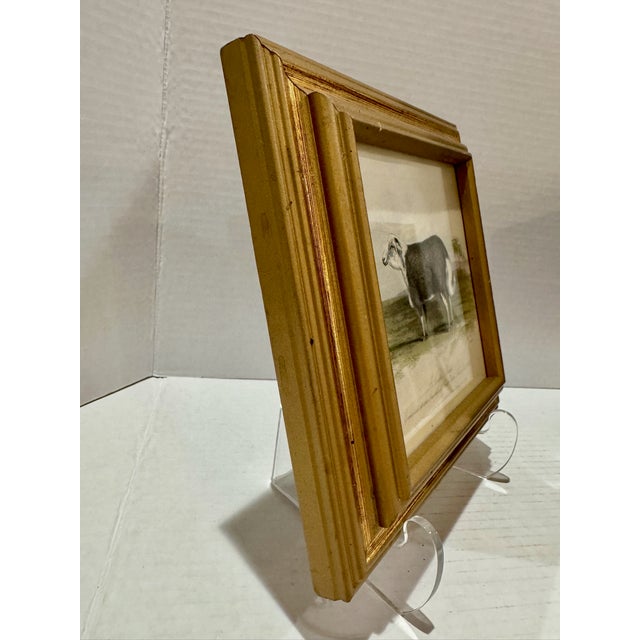 Mid 20th Century Sheep Engravings Capel Sheep Silver Royal Framed Prints - Set of 2 For Sale In Atlanta - Image 6 of 10