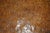 Important 1930s Antique Burr Oak Robert Mouseman Thompson Curved Stool Bench For Sale - Image 13 of 18