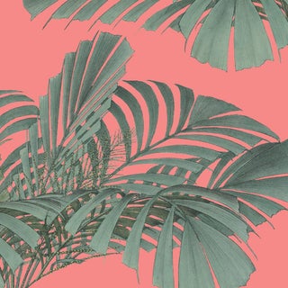 Mitchell Black Home Floating Palm Dusty Pink Peel & Stick Wallpaper For Sale