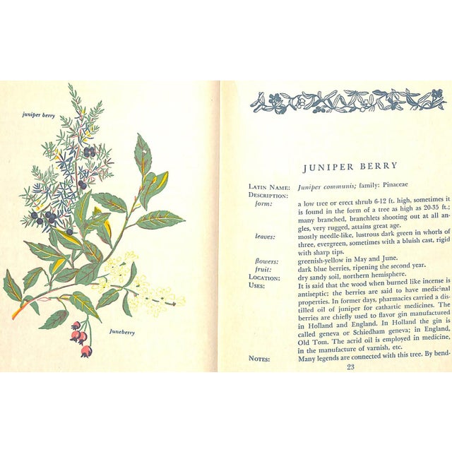 "Savor & Flavor: Berries in Fact and Fancy" 1944 Maril, Lee For Sale - Image 9 of 11