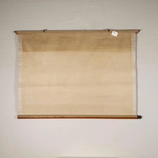 1960s Canvas Print of Serpent After Antonio Vallardi For Sale - Image 5 of 6