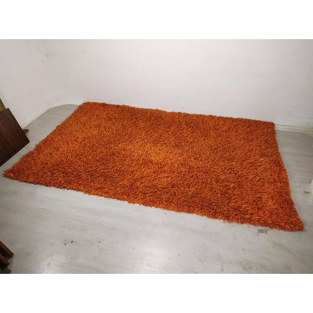 Vintage Wool Rug, 1970s, in Good conditions. Designed 1970 to 1979