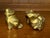 A pair of super cute chunky brass frogs. One is sitting, one is lounging.