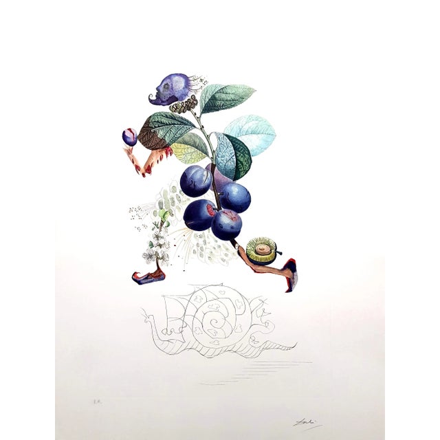 Salvador Dali, Plum, Hand-Signed Lithograph, 1969 For Sale - Image 15 of 15