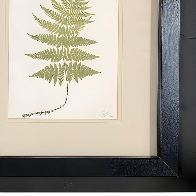 Victorian 1885 English Chromolithograph Fern Pair, Framed For Sale - Image 4 of 4