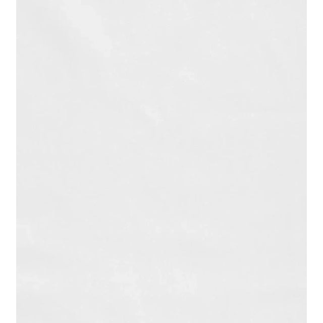 Traditional The House of Scalamandré Bellamy Fabric, White For Sale - Image 3 of 3