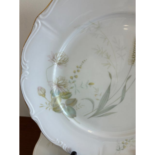 Vintage Forest Bavaria Dinner Plates With Gold Rim - Set of 8 For Sale In Oklahoma City - Image 6 of 12