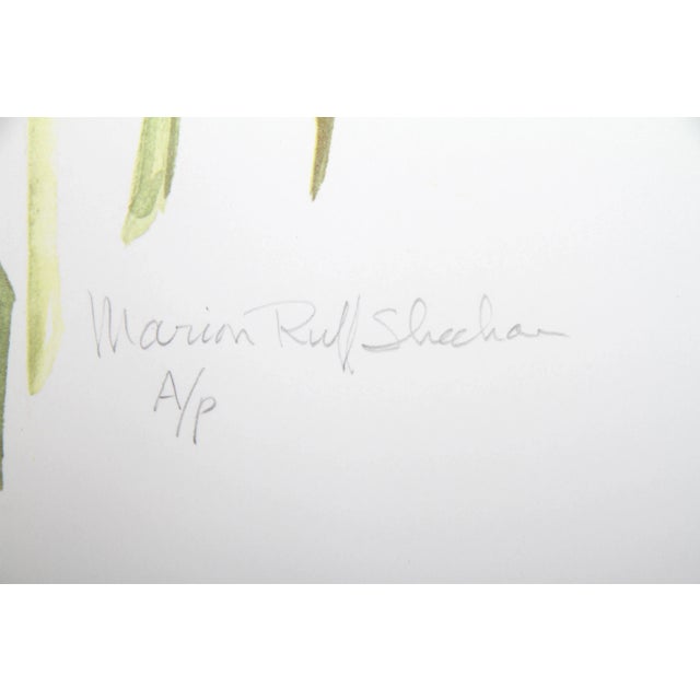 Artist: Marion Sheehan, American Title: Day Lilies Year: circa 1980 Medium: Lithograph, numbered and signed in pencil...