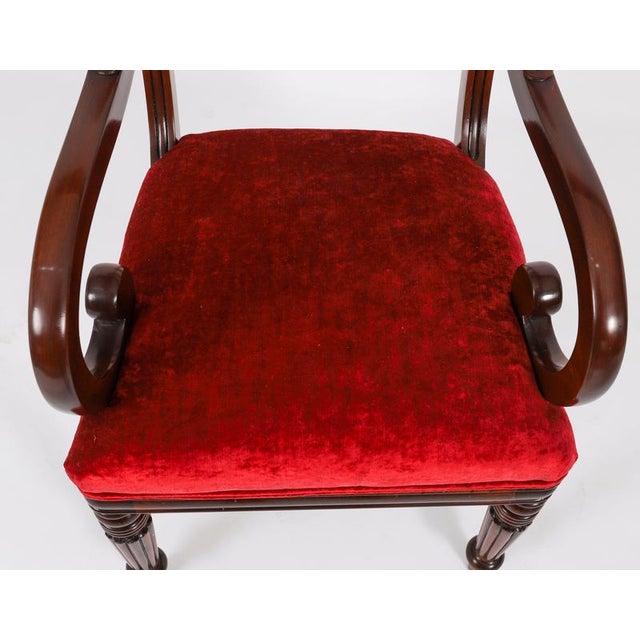 Wood Antique 19th Century Regency Flame Mahogany High Dining Chairs, Set of 10 For Sale - Image 7 of 18
