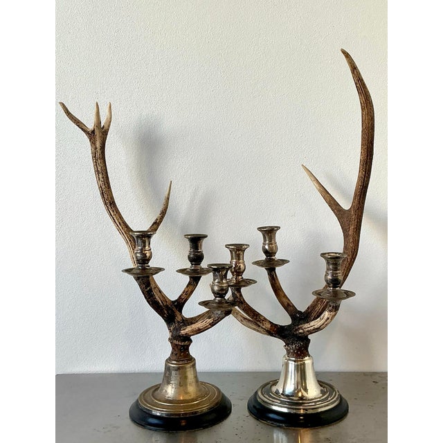 Vintage Natural Deer Antler Candlesticks - A Pair For Sale - Image 11 of 12