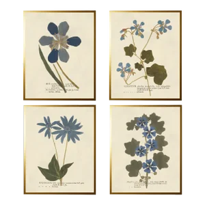 Blue Pressed Flowers Prints in Gold Shadowbox - 19" x 25", Set of 4