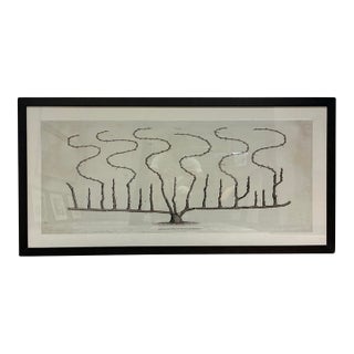 Natural Curiosities “Vine” William Forsyth 1802 Oversized Botanical Print For Sale