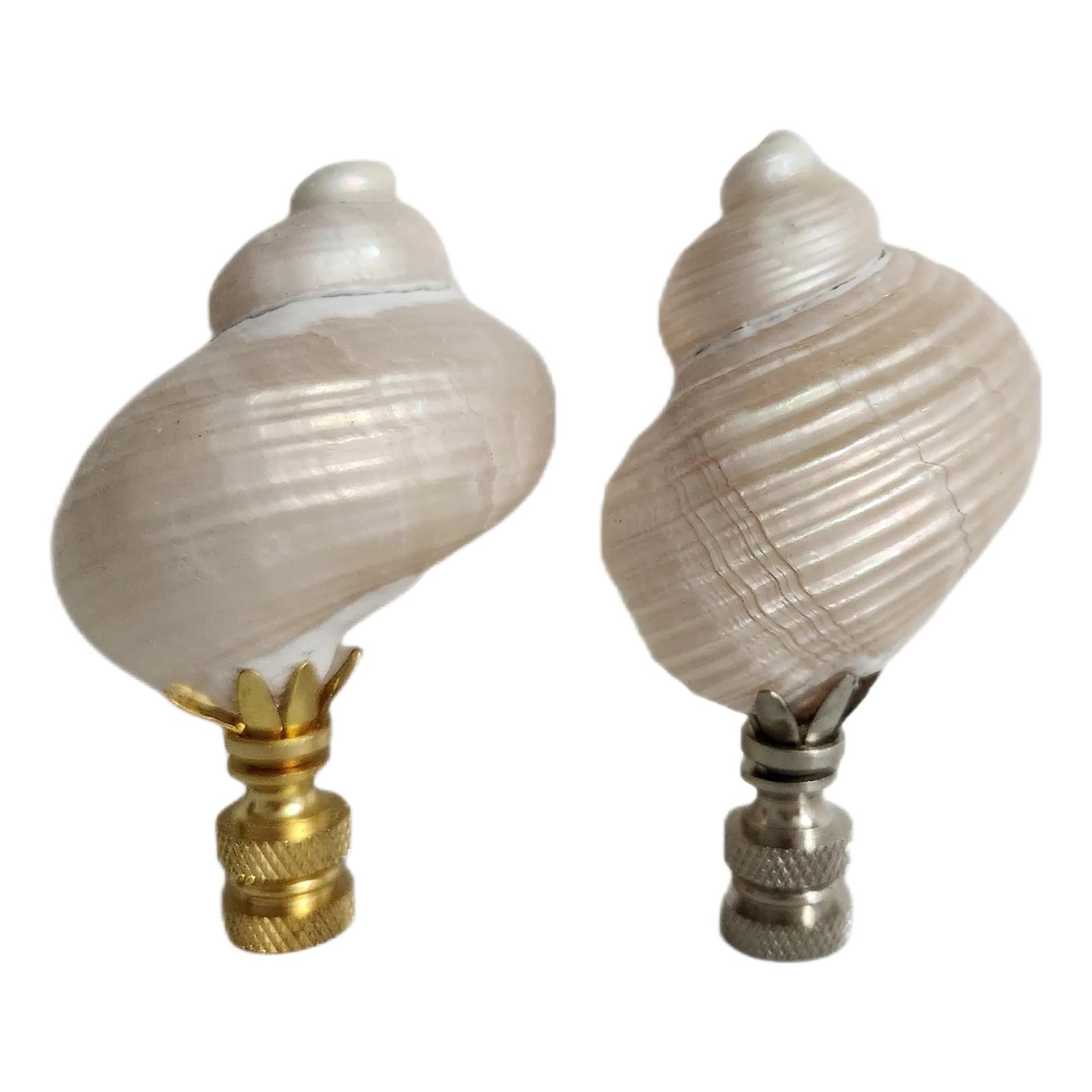 Pair of Turbo Pearl Setosus Sea Shell Lamp Finials, Brass Base | Chairish
