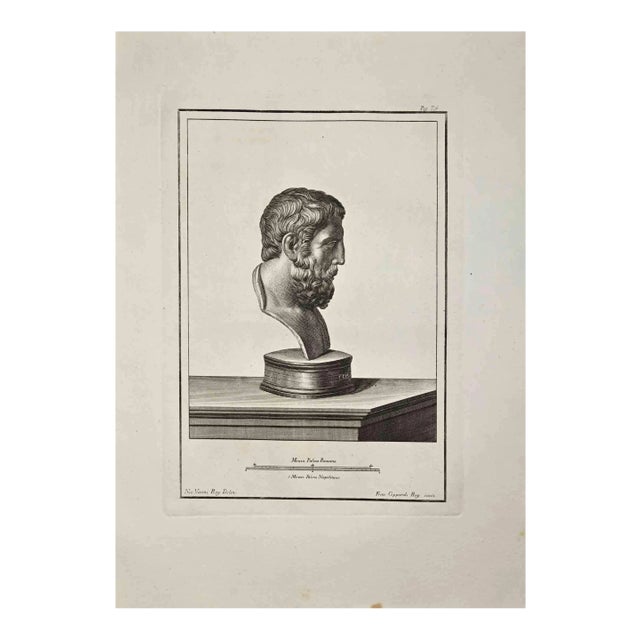 Francesco Cepparoli, Profile of Ancient Roman Bust, Etching, Late 18th-Century For Sale