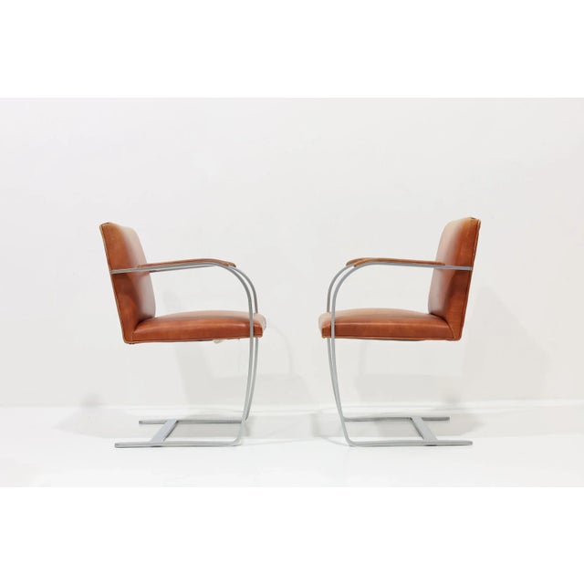 Mid-Century Modern Mies Van Der Rohe for Knoll Flat Bar Brno Chair in Brushed Steel and Leather, 6 Left For Sale - Image 3 of 8