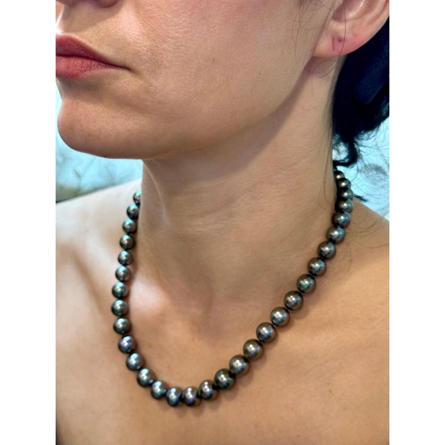 8-11.5 mm Tahitian Black Graduating Pearls Strand Necklace Yellow Gold Clasp 18K For Sale - Image 14 of 18