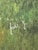 Post Impressionist Antique 1921 European Landscape Oil Painting, Van Gogh Inspired Impasto For Sale - Image 3 of 4