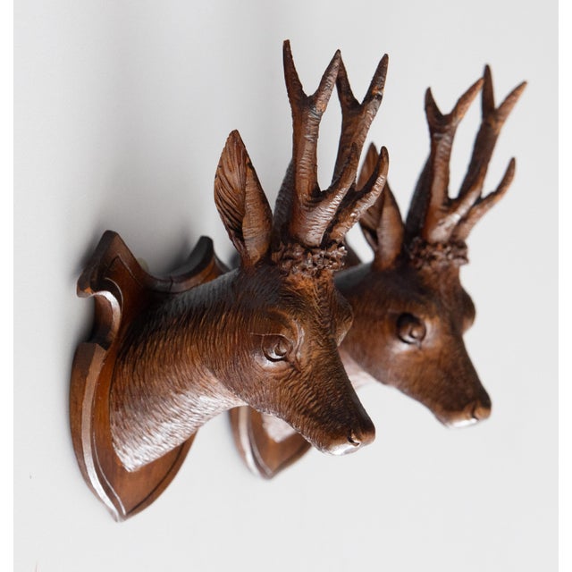 A charming petite pair of antique Black Forest carved deer head trophy plaques, circa 1900. These handsome plaques are...