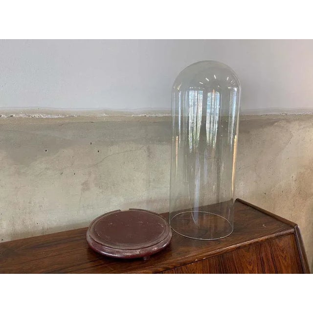 Wood Big Glass Cover, 1900s For Sale - Image 7 of 13