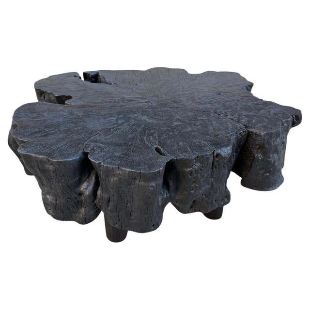 Andrianna Shamaris Charred Mango Wood Coffee Table, Organic Modern Design For Sale