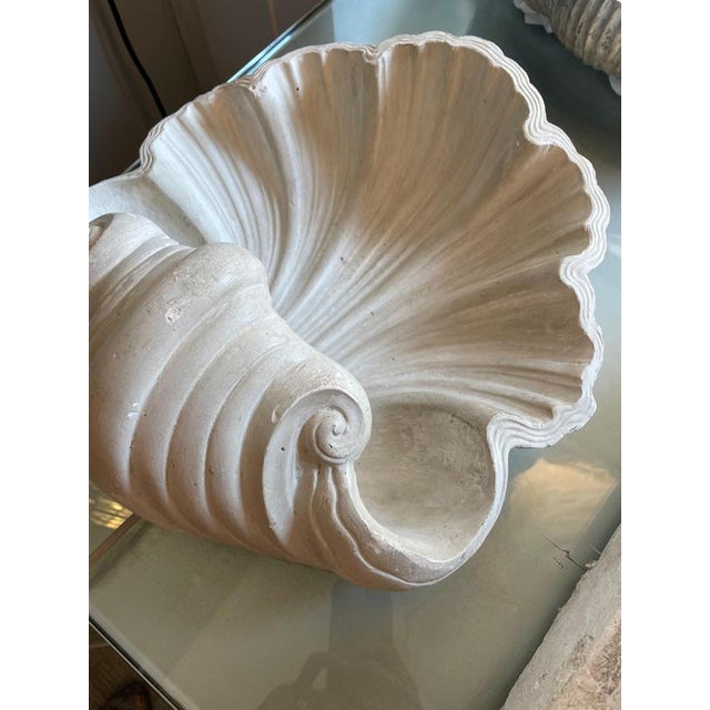 Plaster Shell Wall Lamp, 1950s For Sale - Image 4 of 13