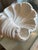 Plaster Shell Wall Lamp, 1950s For Sale - Image 4 of 13