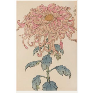 Pink Floral Giclee, Vintage Japanese Botanical Art Print, 8" X 12" For Sale