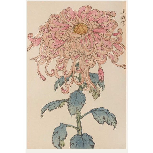 Pink Floral Giclee, Vintage Japanese Botanical Art Print, 8" X 12" For Sale