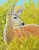 Fawn Deer Wildlife Nature Portrait Landscape Oil Painting Including the Antiqued Gold Wood Frame For Sale - Image 4 of 7