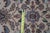 Karastan 100% Wool Oriental Palmette Animal 738 Area Rug Carpet Mat 9' X 6'' For Sale - Image 11 of 15
