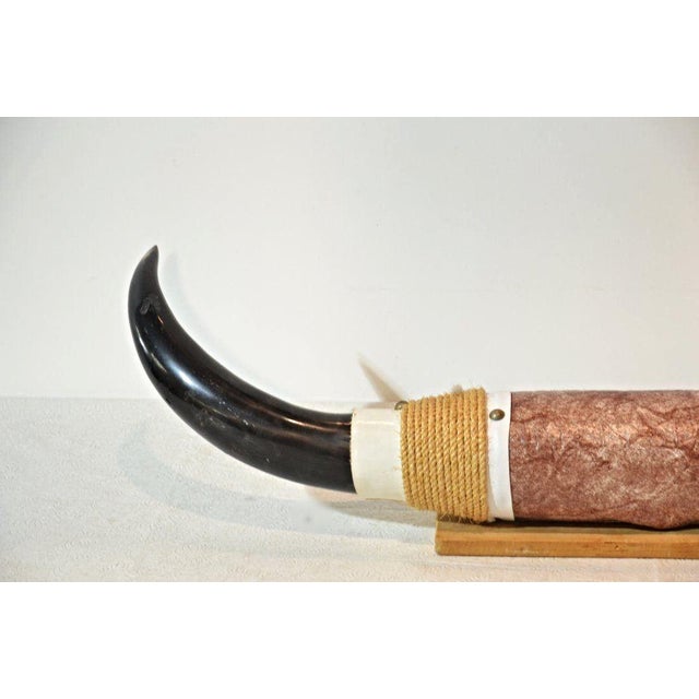 Mounted Steer Horns Chairish