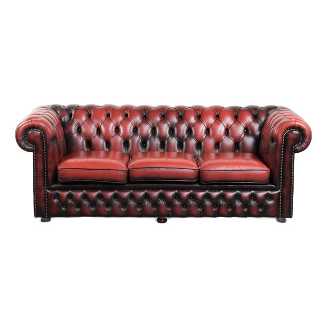 English Chesterfield Sofa in Cow Leather For Sale