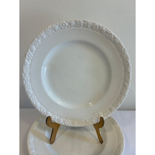 A lovely set of seven vintage Wedgwood & Co. Ltd. bread and butter plates in the Hedge Rose pattern, made in England. Each...